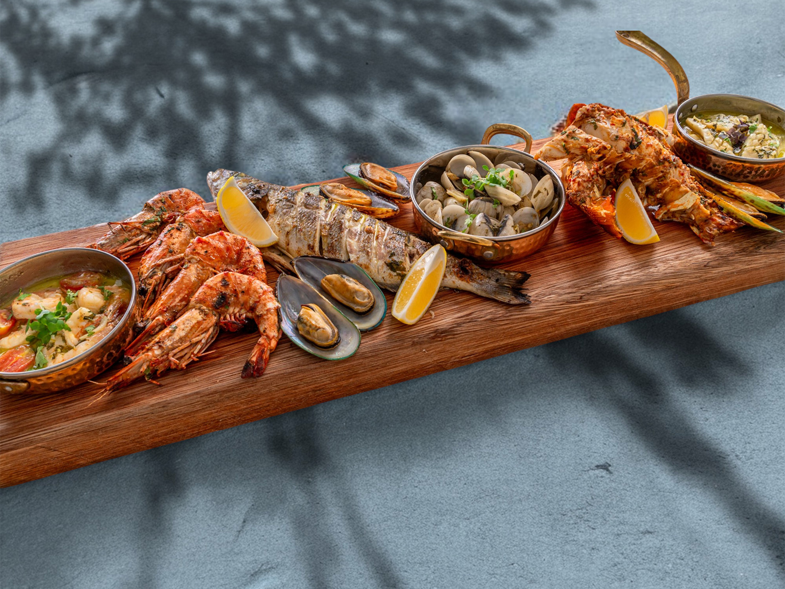 Cello-Website-Slider-10